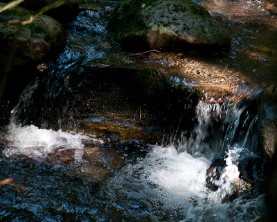 Jericho Brook-0680