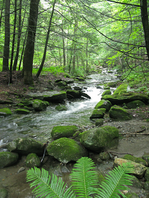 Jericho Brook-3093