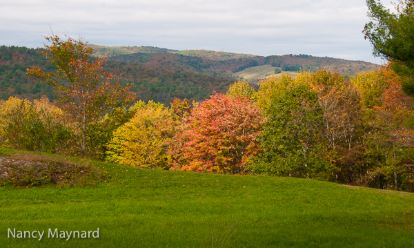 From the foot of our driveway