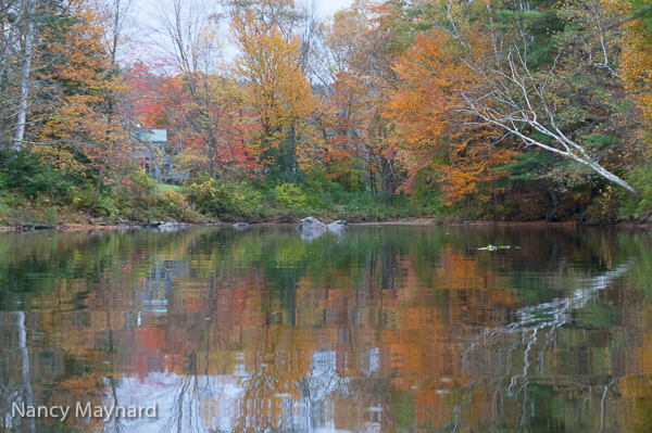 Reflections