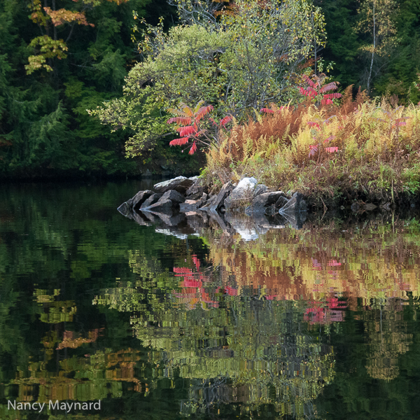 The little island near Gilman Island.