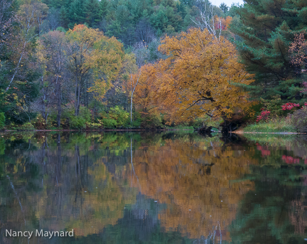 Reflections 