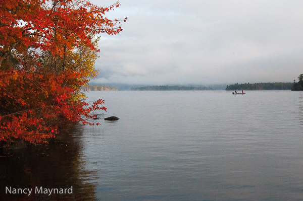 fog lifting from the dock