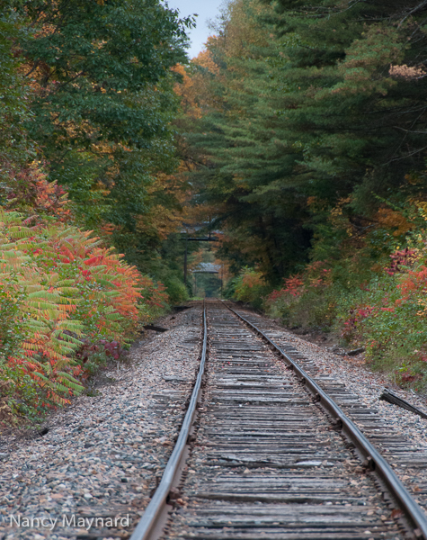 The track in Wilder.