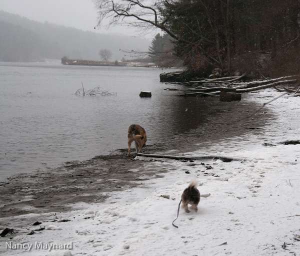 Along the river