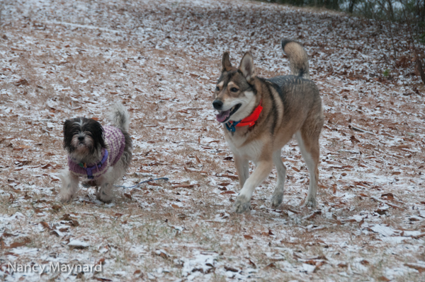 Ellie and Freya, bff