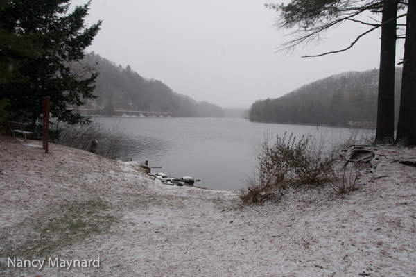 North from the picnic area, Wilder