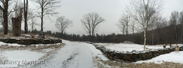 A snowy day at Bob's place.