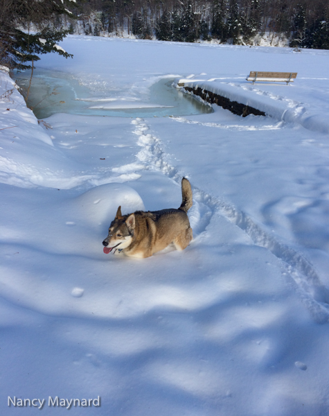 Freya at the boat launch