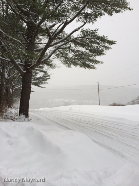 Snowy day on Jericho St.