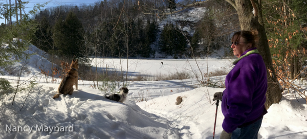 Freya and Munchkin watched the ice fishing on Dothan Brook and Jane watched them. 