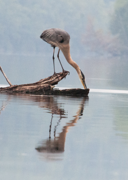 Fishing