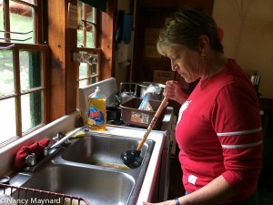 Robin dealing with a clogged drain