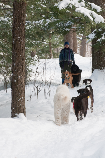 Pat, Ollie and Sophie are coming!!! 