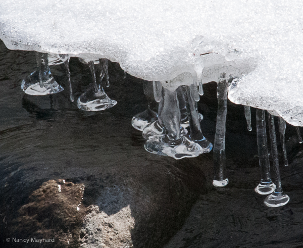 Icicles in Jericho Brook. 