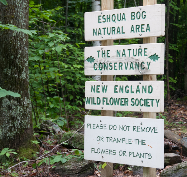 Eshqua bog natural area