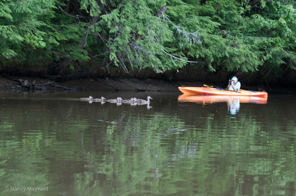 Jane with the ducks