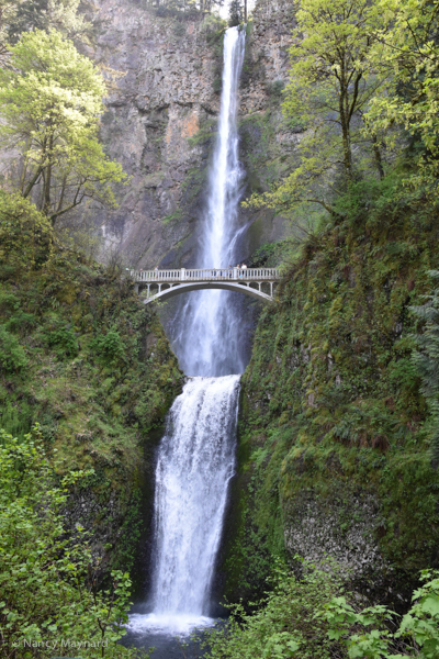 Multnomah Falls