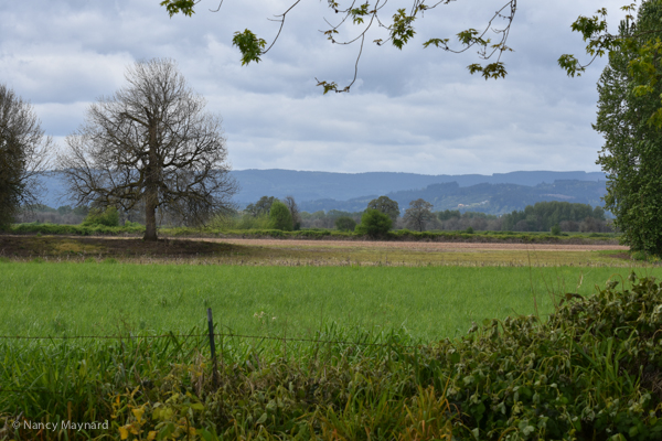 Sauvie Island