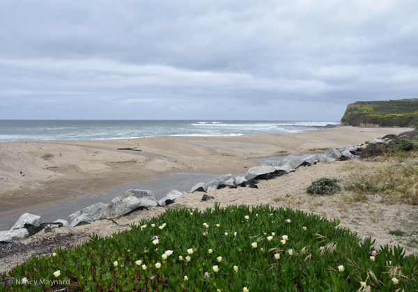 Beach along Rt 1.