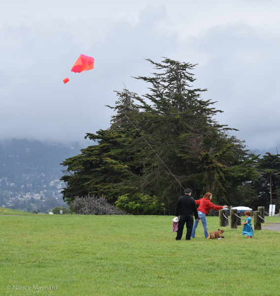 Family flying a kite in Berkeley.