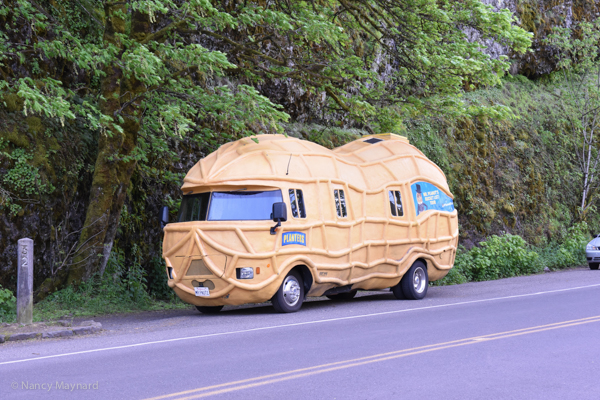 Peanut mobile 
