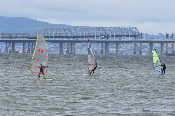 Windsurfing in front of the bay bridge