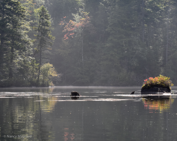 More fall reflections --Grafton Pond, NH 9/20/16