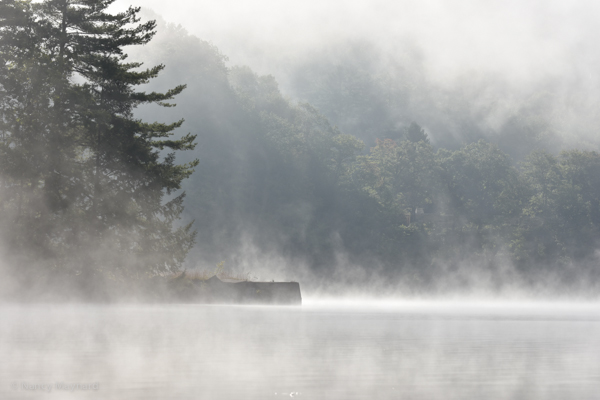 Fog  --Connecticut River, NH 9/17/16